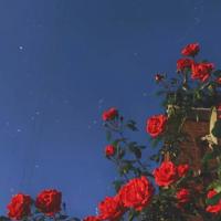 运动和不运动,十年后看差别,惊呆了