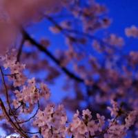 励志的句子致自己简短 简短致自己的励志句子