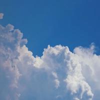 在最美好的日子里，遇见春暖花开