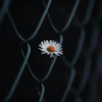 初中,写给女儿的一封信