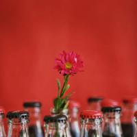 想念爸爸妈妈的句子感恩父母亲情的说说大全