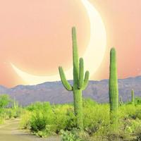 你是我的小呀小苹果,喜欢你一定没错。