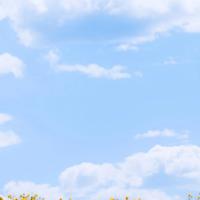 爱情故事大全之走出“琴殇”做一对欢喜冤家