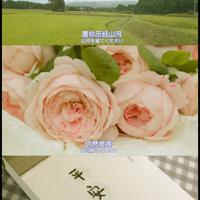 佛教经典名言大全,佛说句子