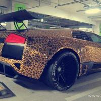 故事配酒婊子配你