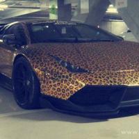 2019春分节气养生祝福语发朋友圈的暖心问候说说大全