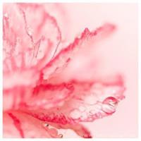 收到鬼电波的电视