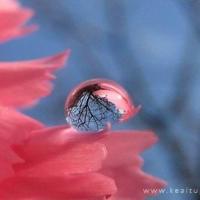 今生有你不孤单散文欣赏