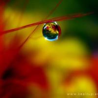 每天都不同，唯一不变的就是想你。