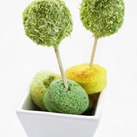 阳光暖暖 花香浓郁