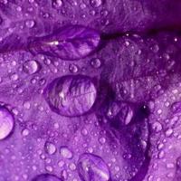 中学生优美句子摘抄