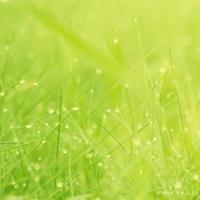 韩寒经典语录集合