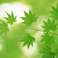 人生感悟：你幸福吗？