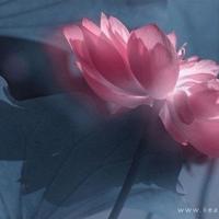 幽默味十足的人生搞笑语录_搞笑短句