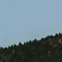 招魂术—远逝的母爱