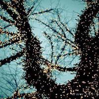 学会接纳自己,更不要低估自己。