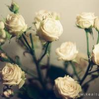 老促会会长计凤亭先进事迹材料宣传