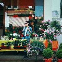 【配乐诗朗诵】白衣天使礼赞