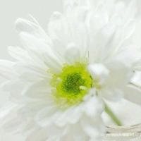 我颠倒了整个世界，只为摆正你的身影。