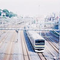 不能没有您散文