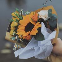 给大家来点最搞笑的笑话段子