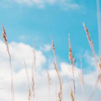 《婚姻故事》曝“真实故事”创作特辑 斯嘉丽突