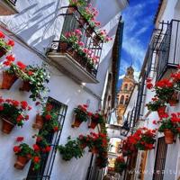 我一直在这里等待你