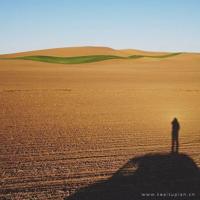 我的青春谁做主经典语录最新篇章