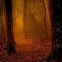 是谁搅动了那颗爱情墨点