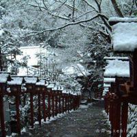 无船，何以渡彼岸