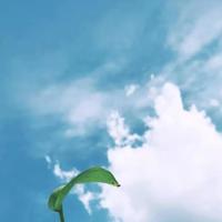 我们在阴间结婚吧