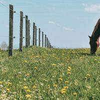 执笔倾情,岁月静好