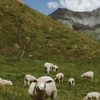 有一种放下的智慧