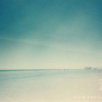 写给我那战斗在高考一线的高四兄弟