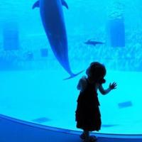 夜半继母的哭声