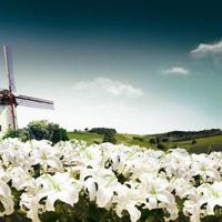 渐行渐远的村庄