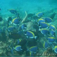 好像做一个长不大的孩子