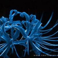 我终于读懂了母亲的”凶与狠”