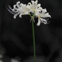 轻装一身,快乐一生