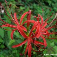 在生活中勇敢的生活