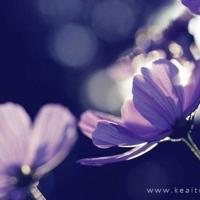 不会吵架的爱情