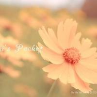 任时光流走，我依然记得