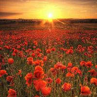 做最真实的自己,不要过分在意他人的眼光