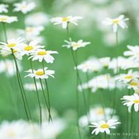 谢谢你,路过我的青春岁月