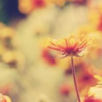 低头做事，抬头做人。人来到这个世界，是为了