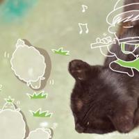 等蜗牛爬上树散文