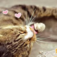 爱而不得是永远的伤口