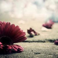 老巷子的变迁感概散文