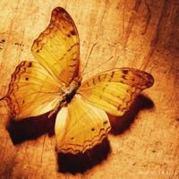 人,永远是相互的(温暖全世界)