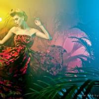 没有开始的爱情